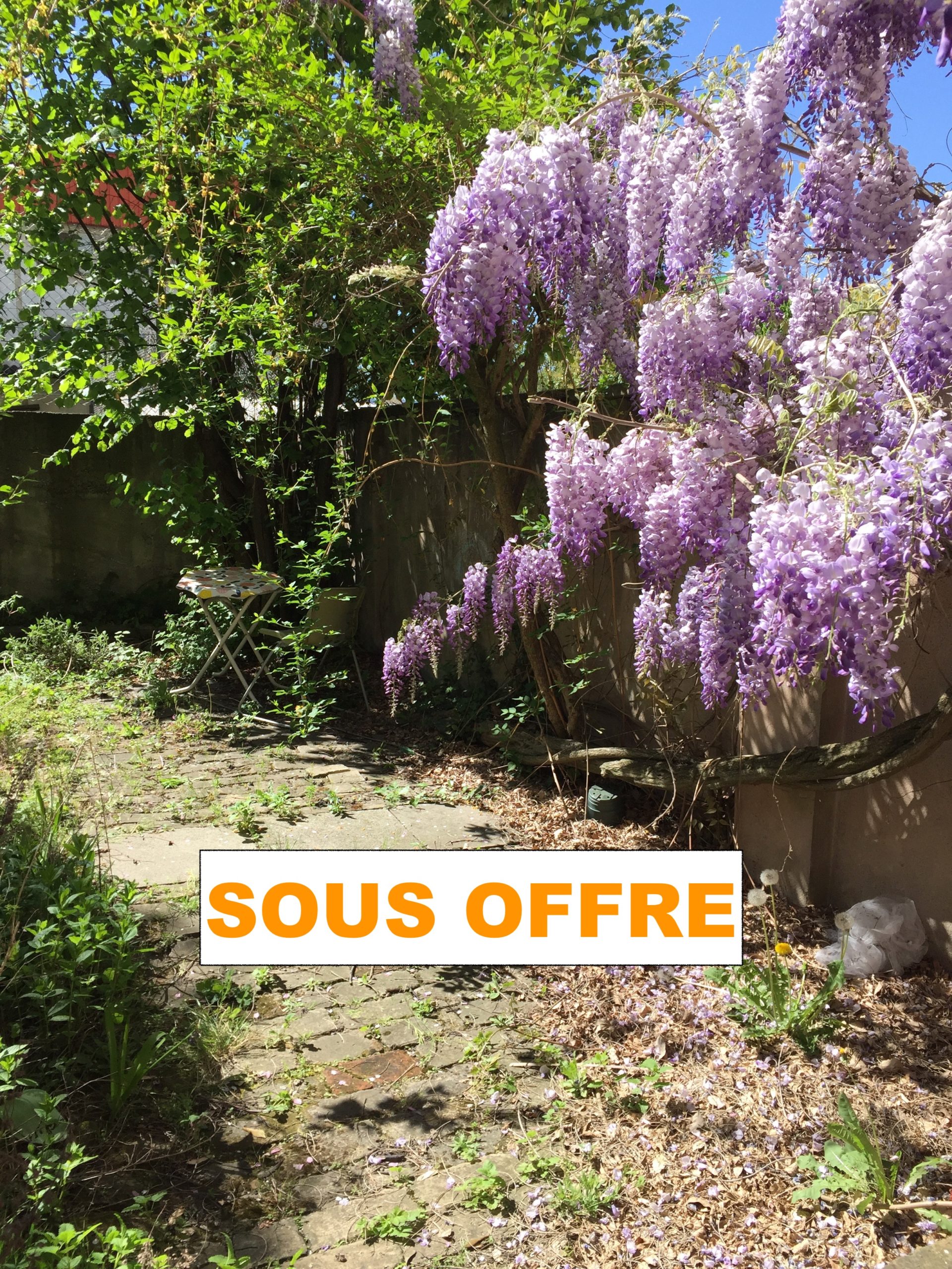 IMG_0671 copiesousoffre