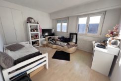 thumbnail_IMG_3531