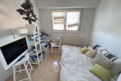 thumbnail_IMG_3534