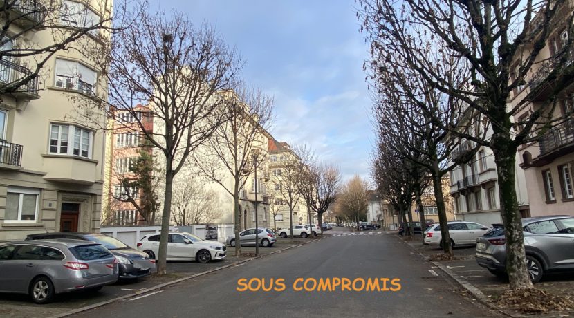 IMG_8399 copie 3
