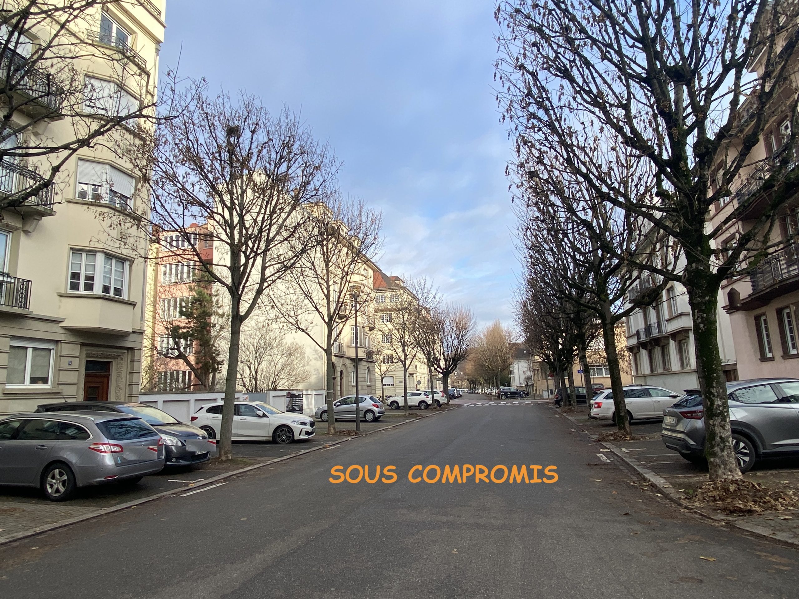 IMG_8399 copie 3