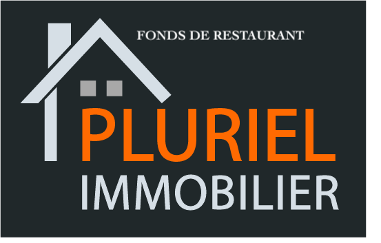 LOGO PLURIEL IMMOBILIER[14625] HD