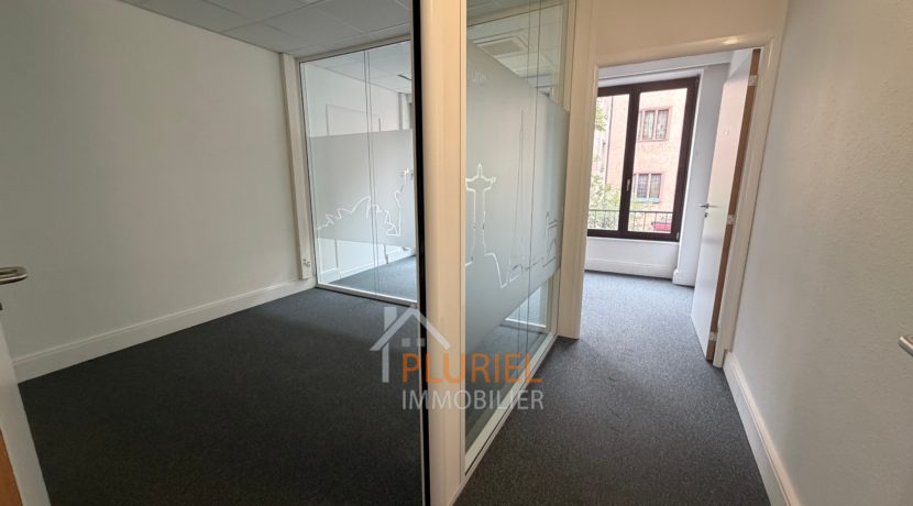 IMG_4454