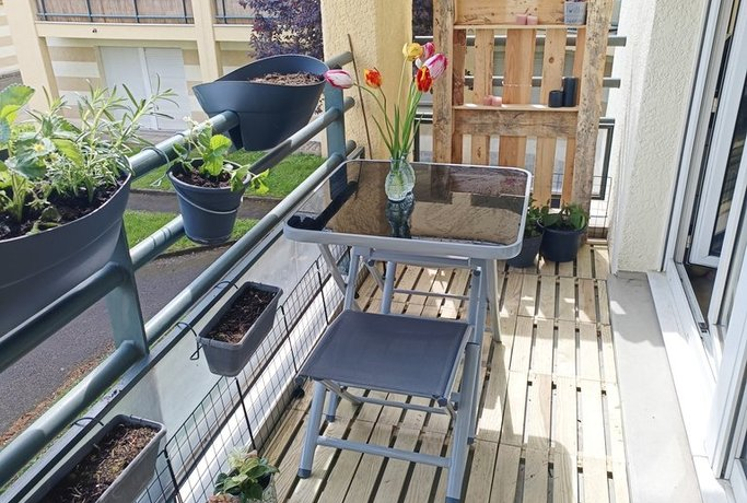 image (4)