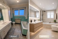 D29543F3-4180-4D4D-B51B-7F9317EA6F49_1_201_a