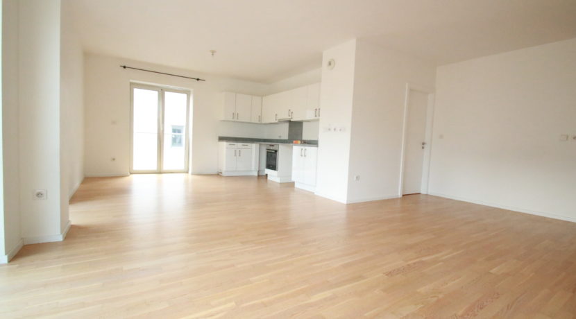 photo_7860e07b4afd048d0c670948367ced3f