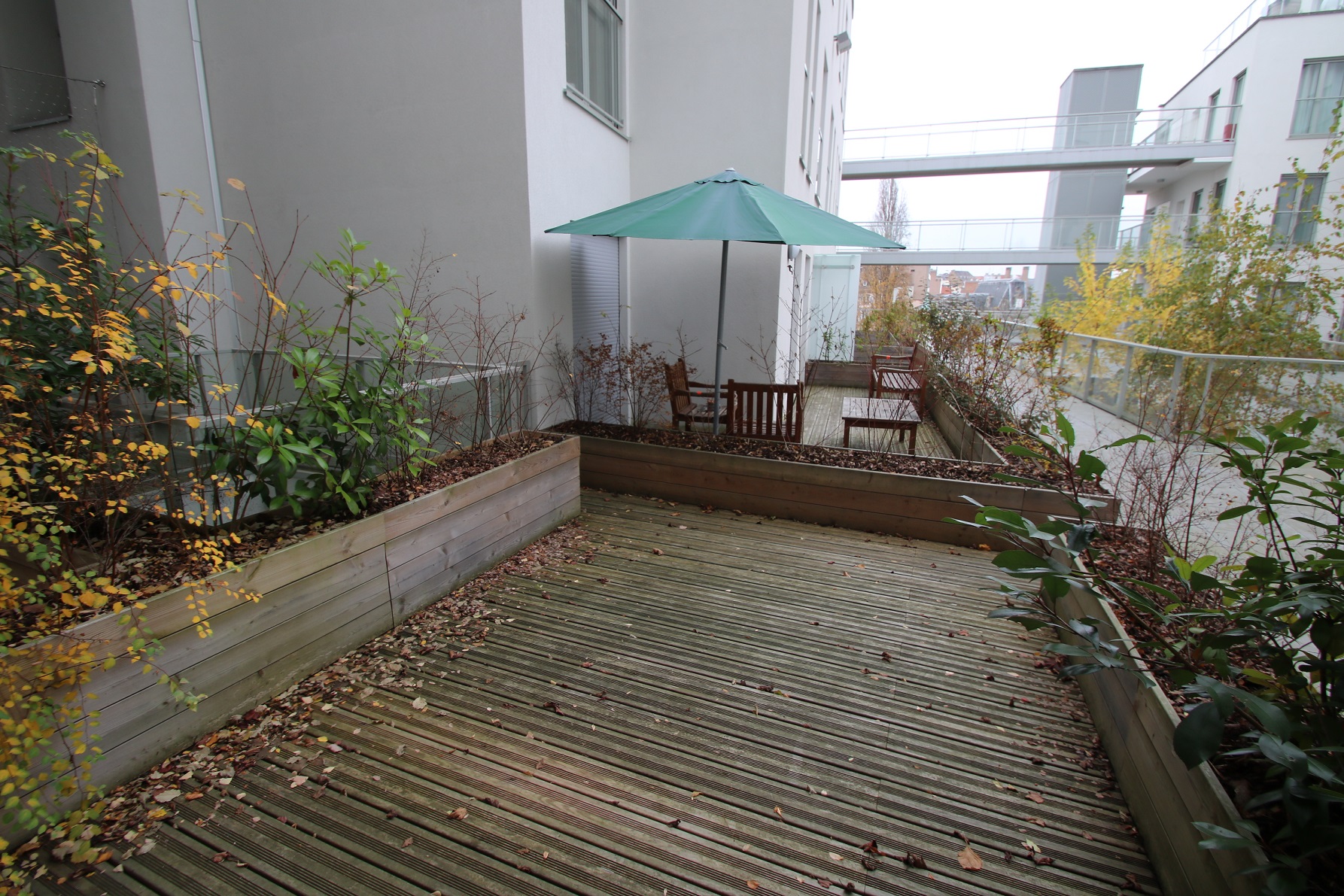 photo_b90160fe8f0f337a40fe8ad7f61653b4