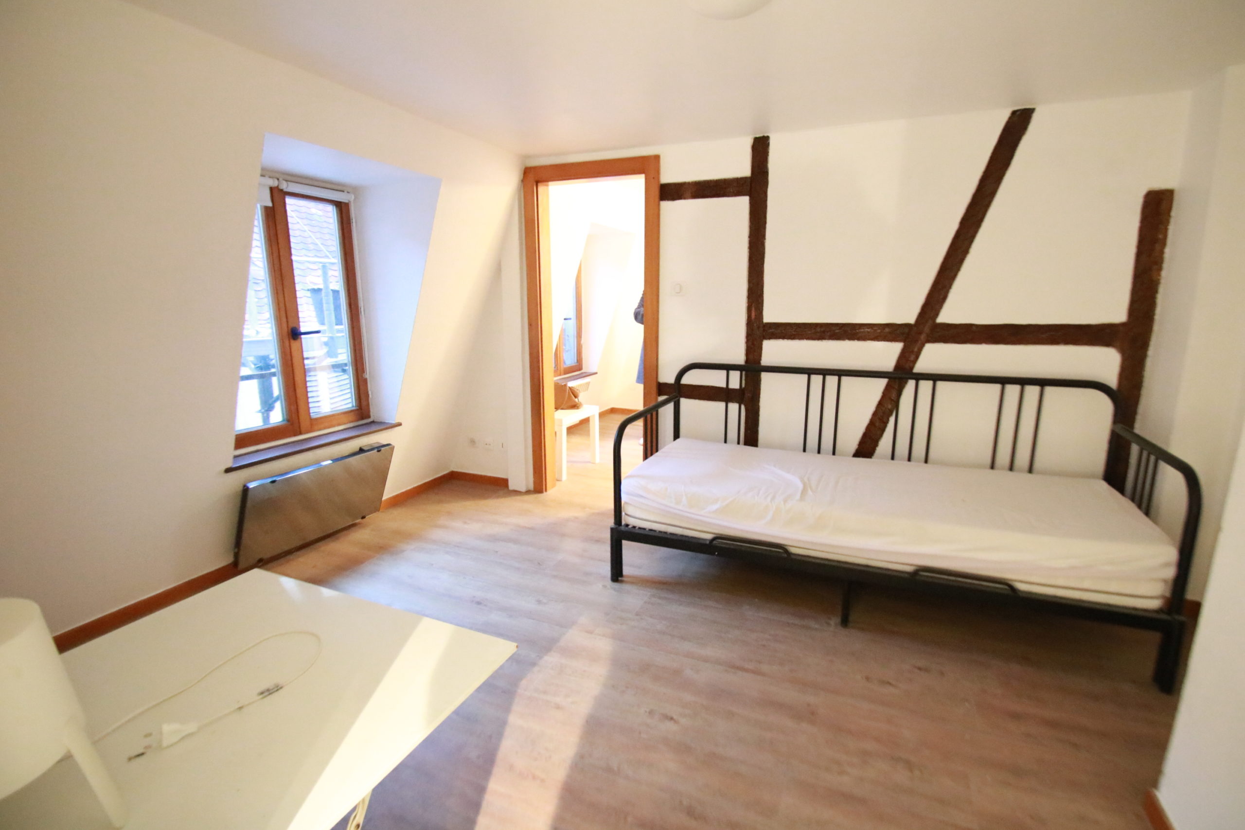 Magnifique 1 pièce meublé 24.6m² à la Krutenau