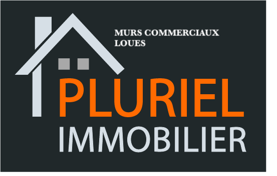 LOGO PLURIEL IMMOBILIER[14625] HD copie 2