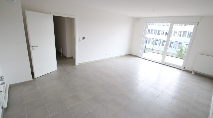 photo_76ac325a801fdbfb967b439acebf2420