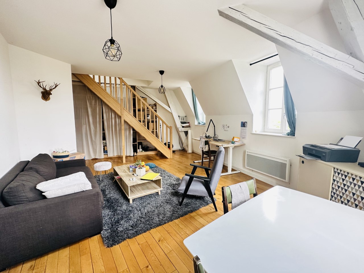 photo_8c00a70f917bad7f94bfc266d93bd44c