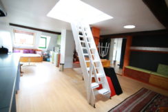 photo_9c709016e70fe8965245fb70f115e3d1