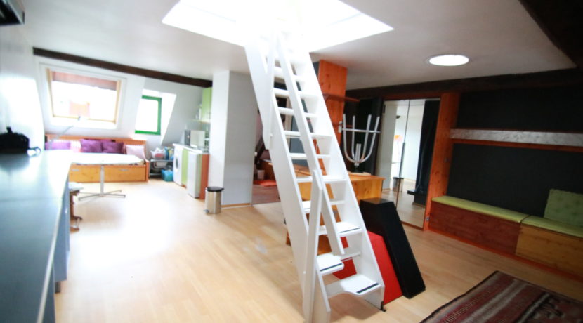 photo_9c709016e70fe8965245fb70f115e3d1