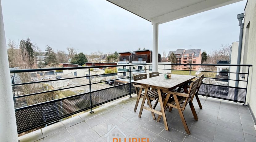 WhatsApp Image 2026-01-29 at 10.21.206