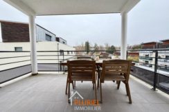 WhatsApp Image 2026-01-29 at 10.21.557