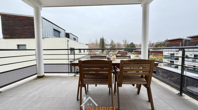 WhatsApp Image 2026-01-29 at 10.21.557