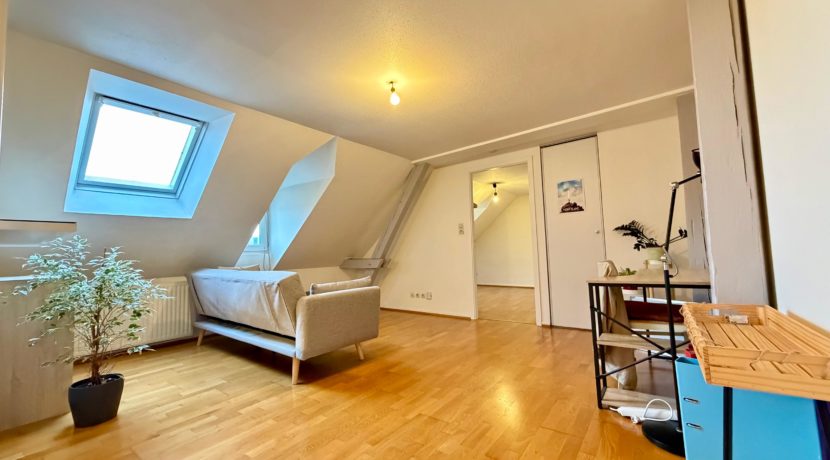 WhatsApp Image 2026-02-09 at 17.35.40 (2)