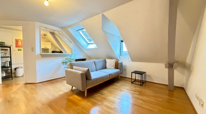 WhatsApp Image 2026-02-09 at 17.35.40 (3)