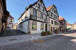 WhatsApp Image 2026-03-20 at 15.10.23 (1)