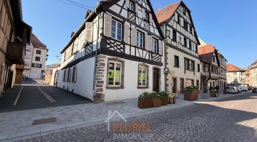 WhatsApp Image 2026-03-20 at 15.10.23 (1)