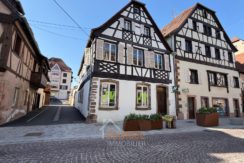 WhatsApp Image 2026-03-20 at 15.10.23