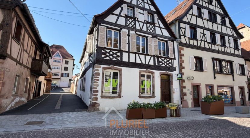 WhatsApp Image 2026-03-20 at 15.10.23