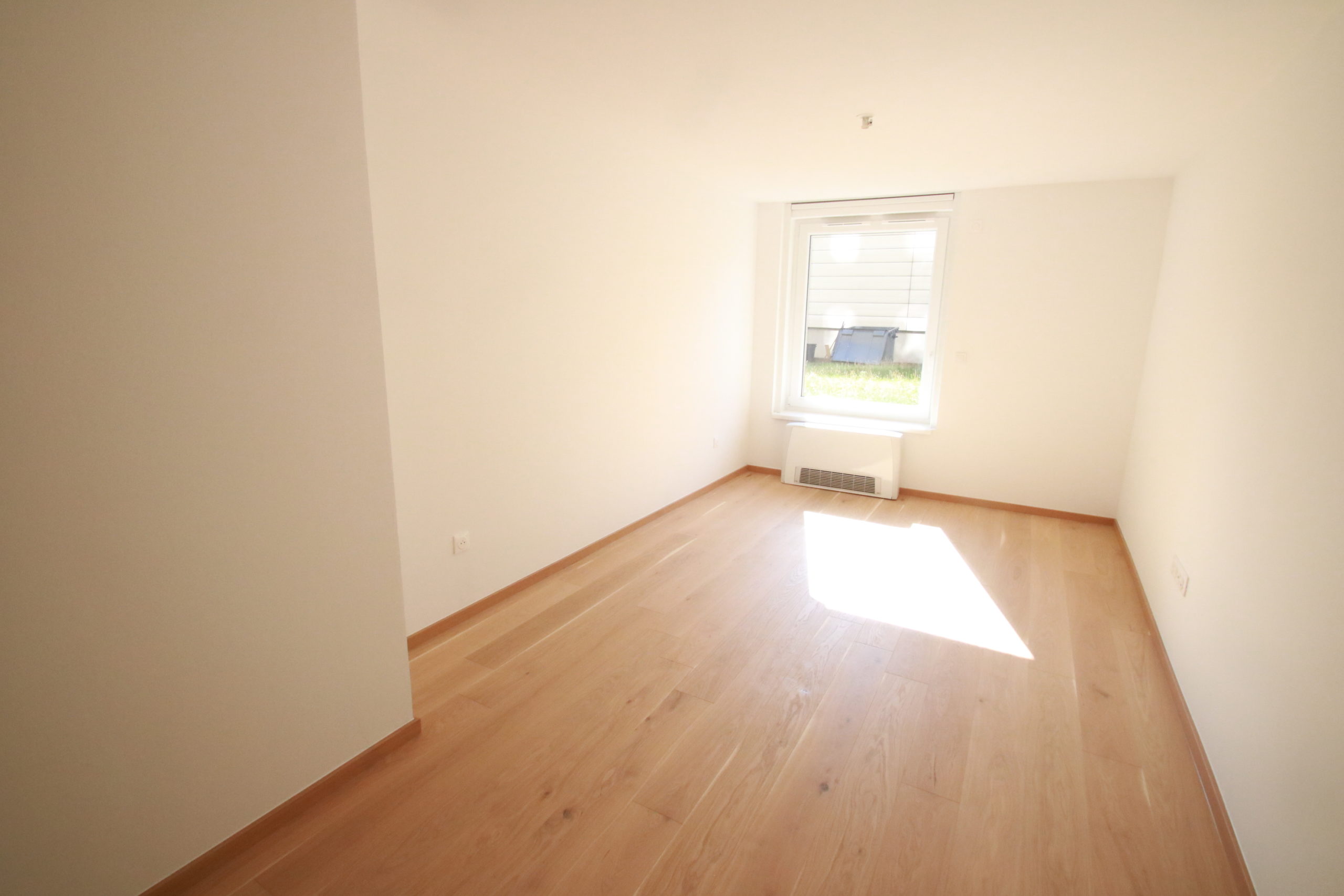 photo_22a5c2a3876fb7c3606e8c3afdfc19c5