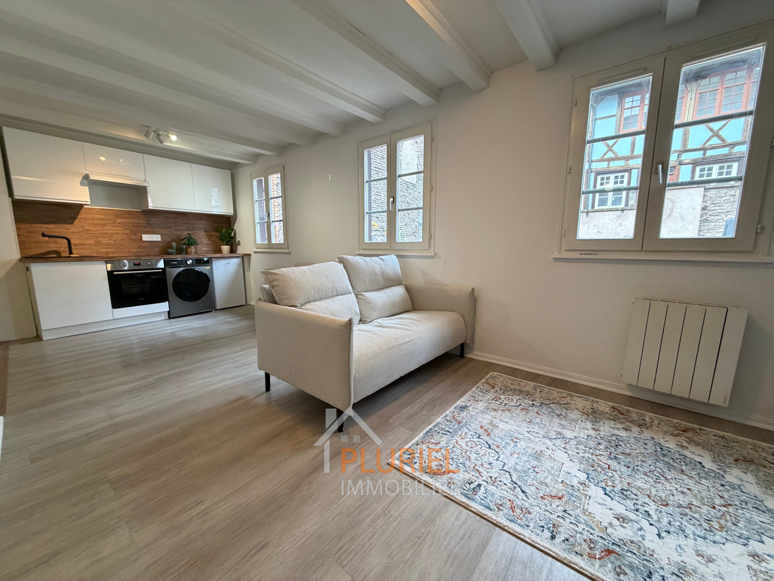 Magnifique 1 pièce 31.9m² meublé à la Krutenau