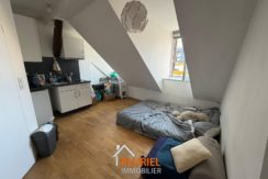 WhatsApp Image 2026-03-20 at 12.15.39