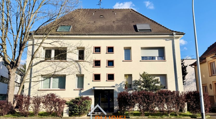 WhatsApp Image 2026-03-27 at 17.26.06