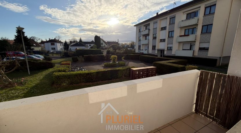 WhatsApp Image 2026-03-31 at 18.30.57 (3)