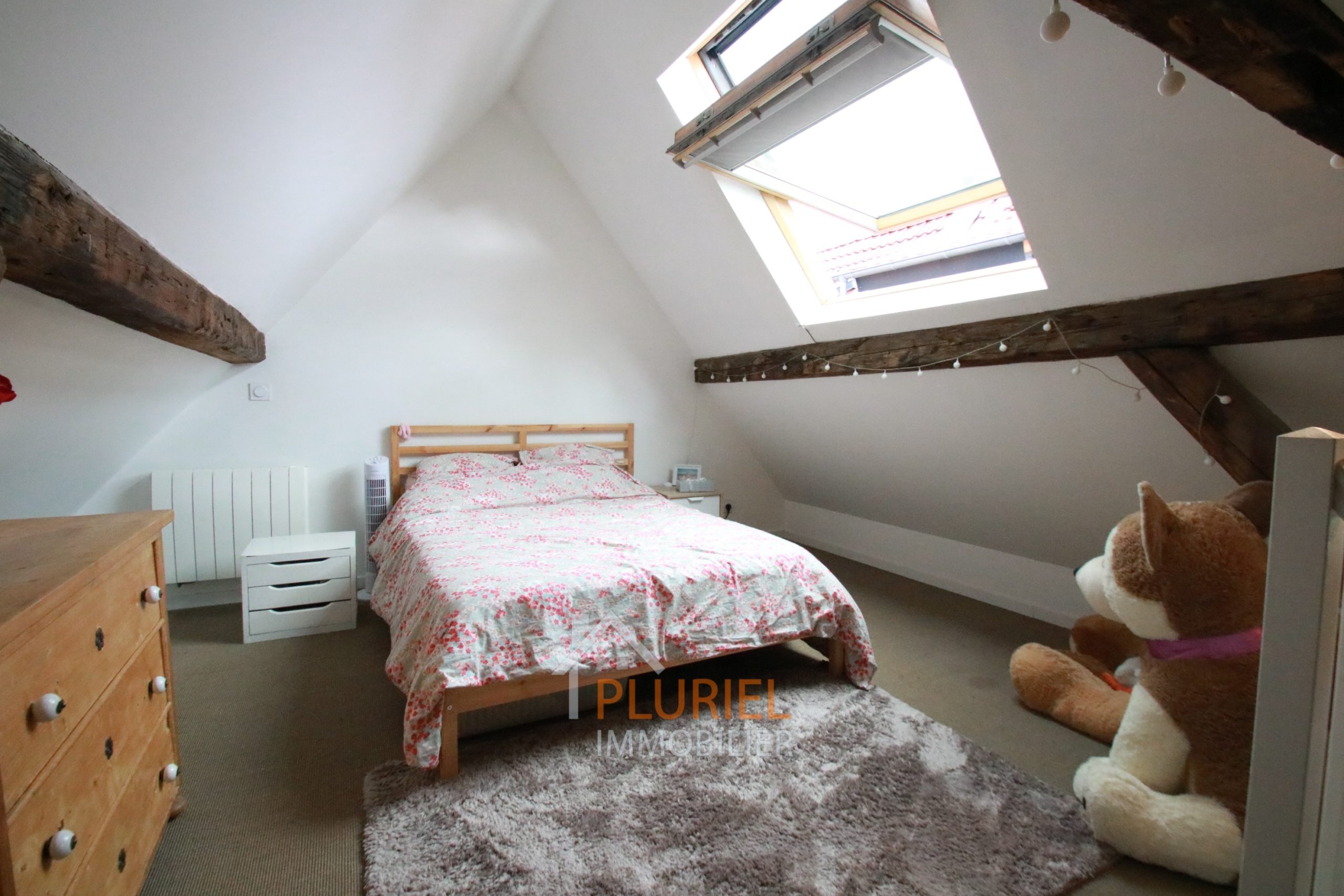 photo_74be79ecdd4365d9ad0c1664e3c0c954