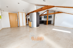Loft lumineux avec cuisine ouverte