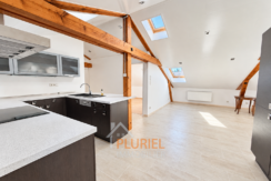 Loft mansardé lumineux, cuisine ouverte