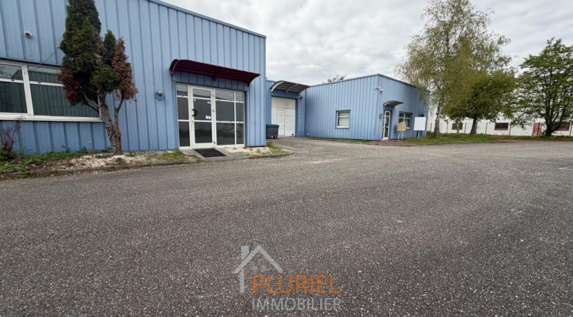 WhatsApp Image 2026-04-15 at 15.26.23 (23)