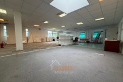 WhatsApp Image 2026-04-15 at 15.26.23