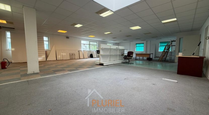 WhatsApp Image 2026-04-15 at 15.26.23