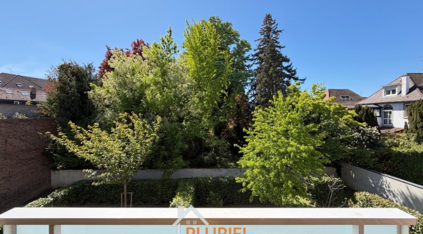 WhatsApp Image 2026-04-28 at 09.08.408