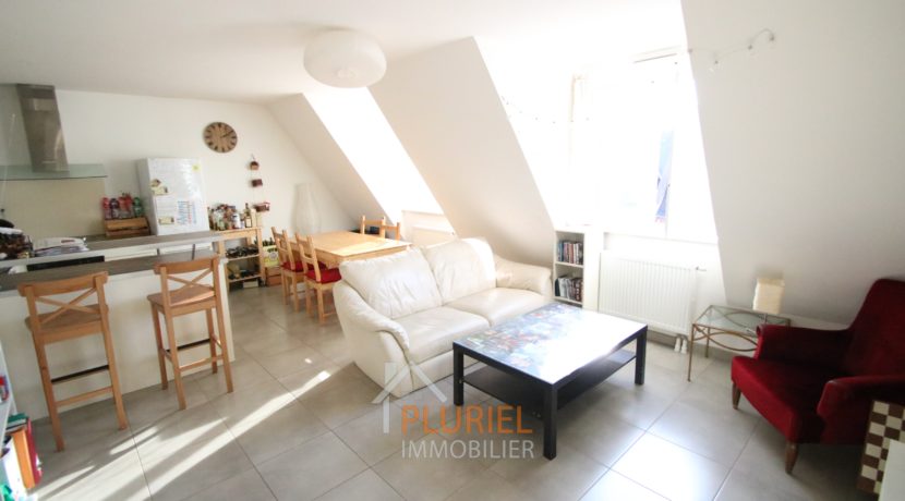 photo_1f4f30146007c0b5325e16f5e513fc45