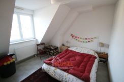 photo_95b36287894c228d46a010e613229e20