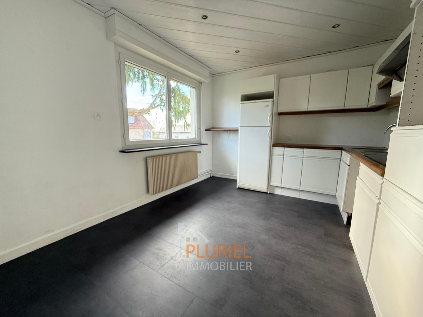 photo_b3bf76879c17376edf0264bc6a7a4cde