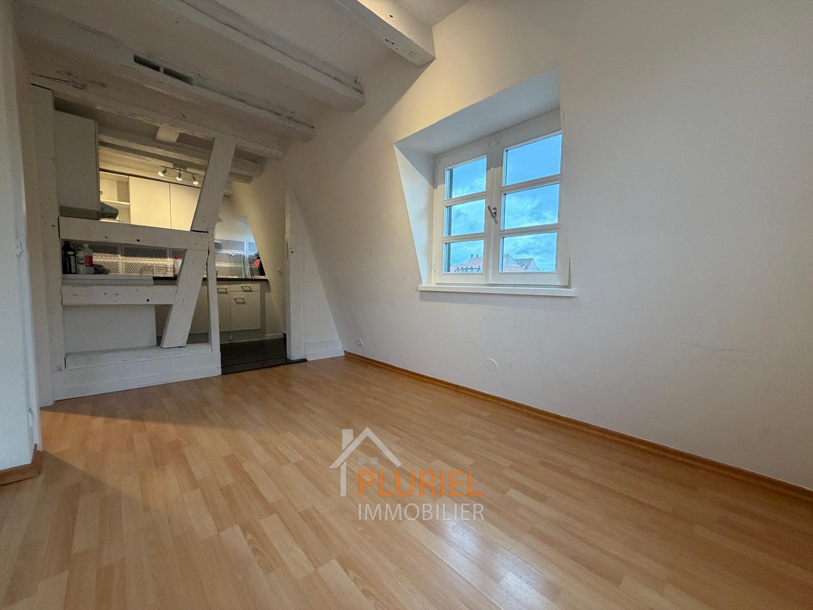 Magnifique 2 pièces 33.5m² en duplex à SCHILTIGHEIM