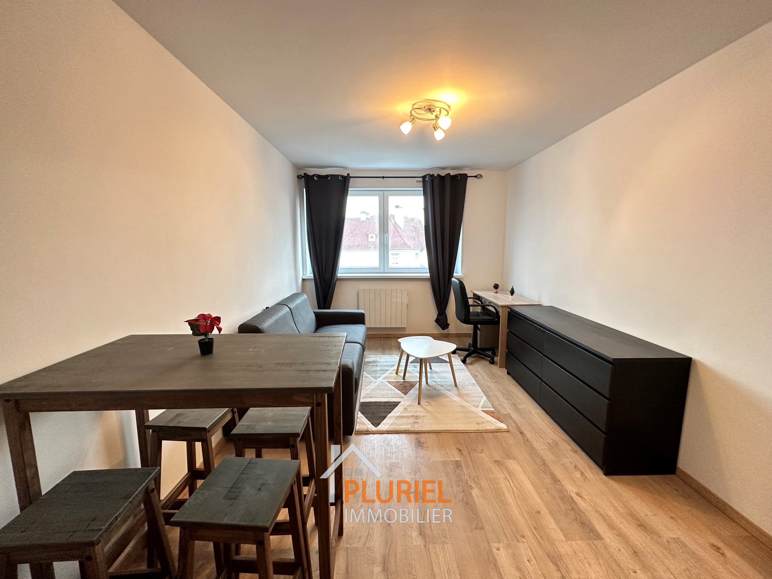 Magnifique Studio meublé 24,08m² Quartier Forêt Noire / Esplanade