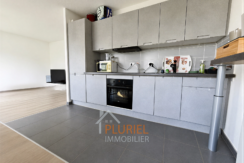 cuisine_moderne_minimaliste_avec_salon_├®pur├®