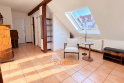Loft lumineux sous verrière
