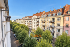 Rue européenne bordée d’arbres et de façades historiques