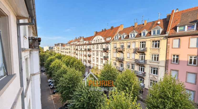 Rue européenne bordée d’arbres et de façades historiques