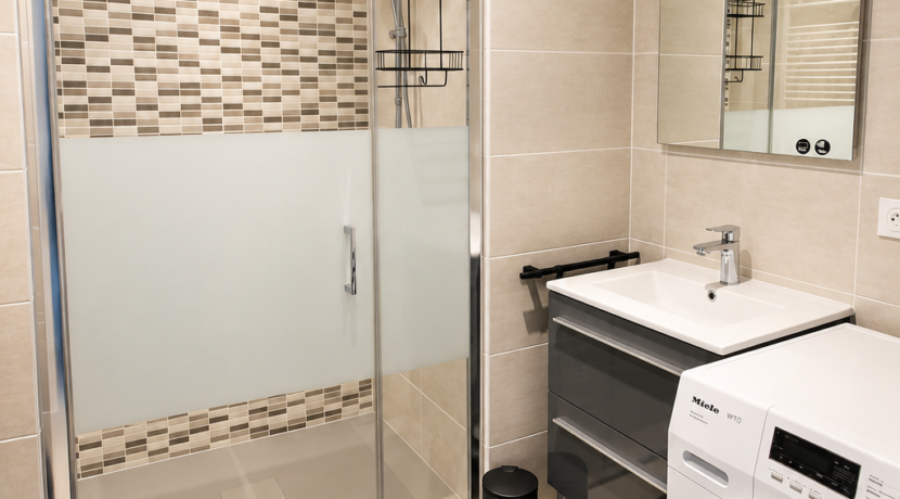 Salle de bains moderne avec douche et lave-linge