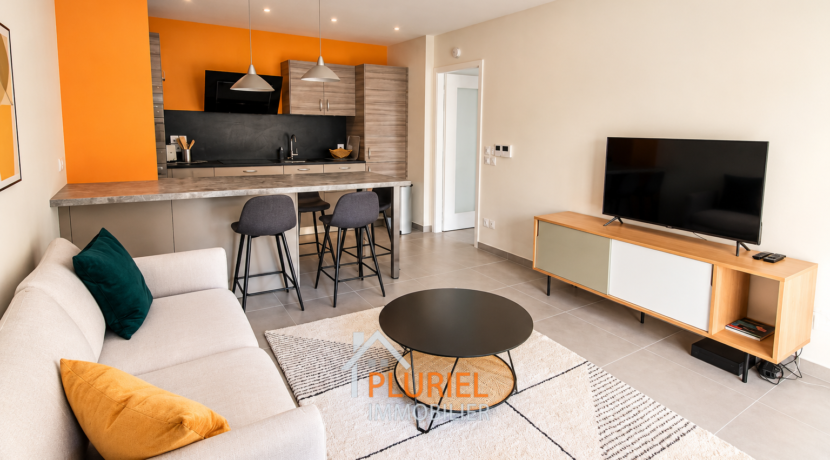 Salon contemporain avec cuisine ouverte