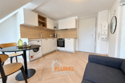 Studio scandinave lumineux avec cuisine ouverte